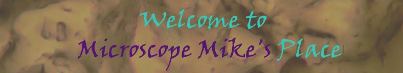 Welcome to Microscope Mike's Place!